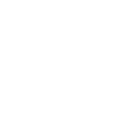 Customized desgin service