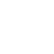 Good after-sales service and professional freight arrangement